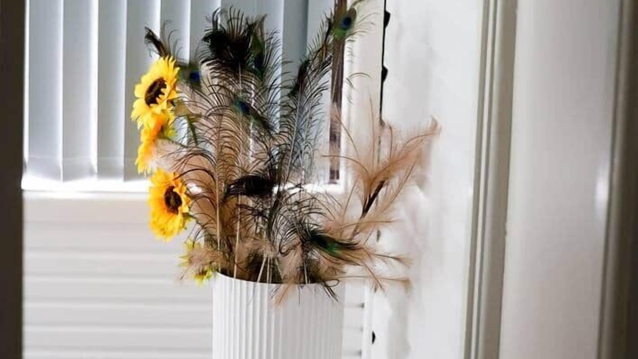 Photo of Others in Oberon