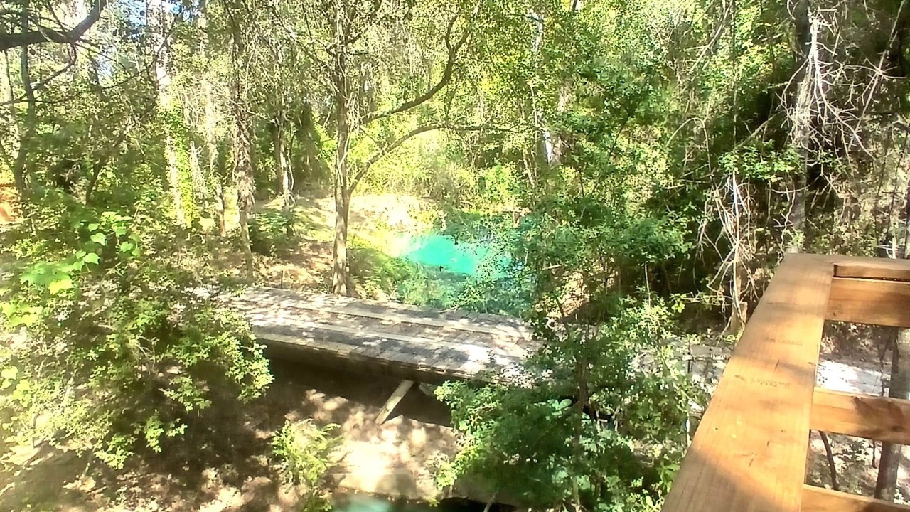 Photo of Others in Plantersville