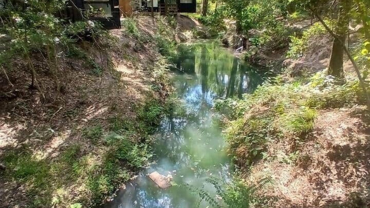 Photo of Outdoor in Plantersville