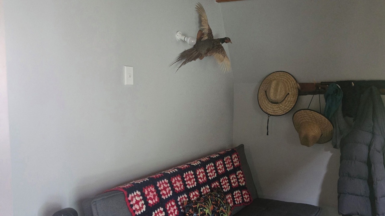 Photo of Livingroom in Opotiki