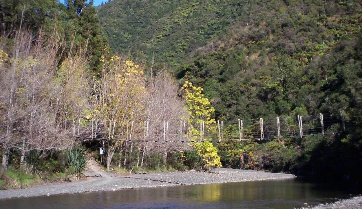 Photo of Others in Opotiki