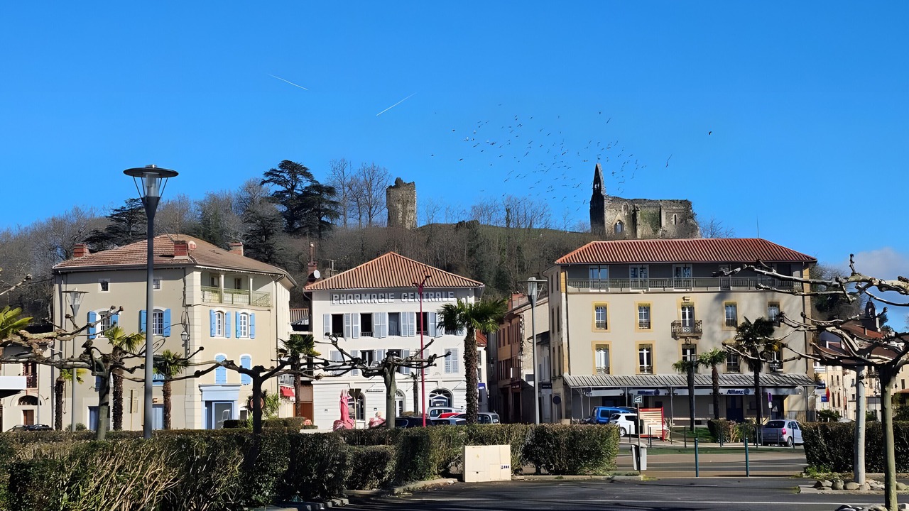 Photo of Others in Salies-du-Salat