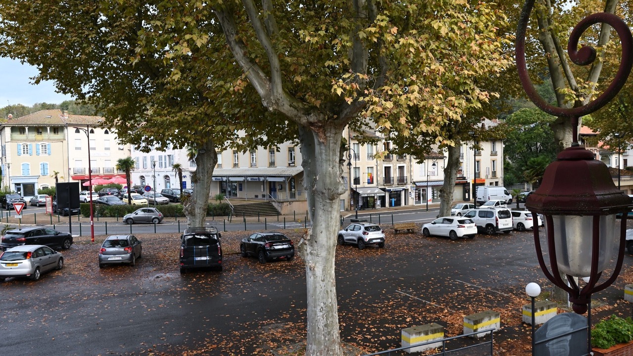 Photo of Others in Salies-du-Salat