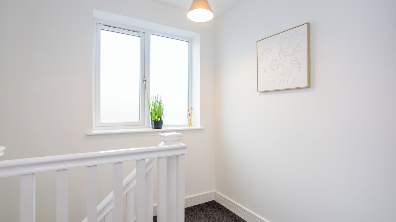 Photo of Others in Durham