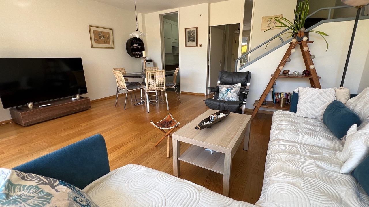 Photo of Livingroom in Minusio
