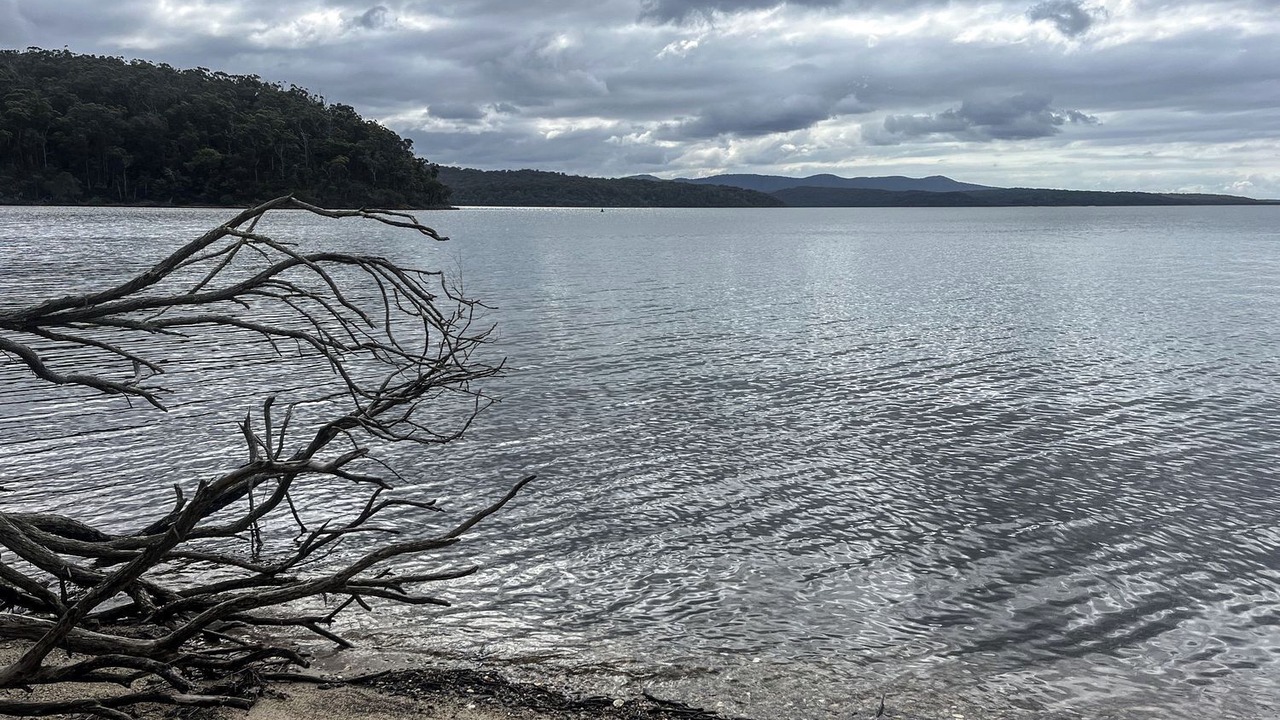 Photo of Others in Mallacoota