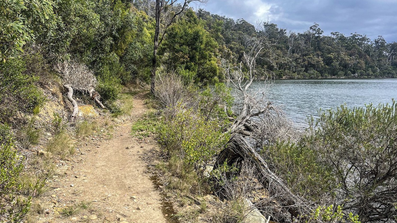 Photo of Others in Mallacoota