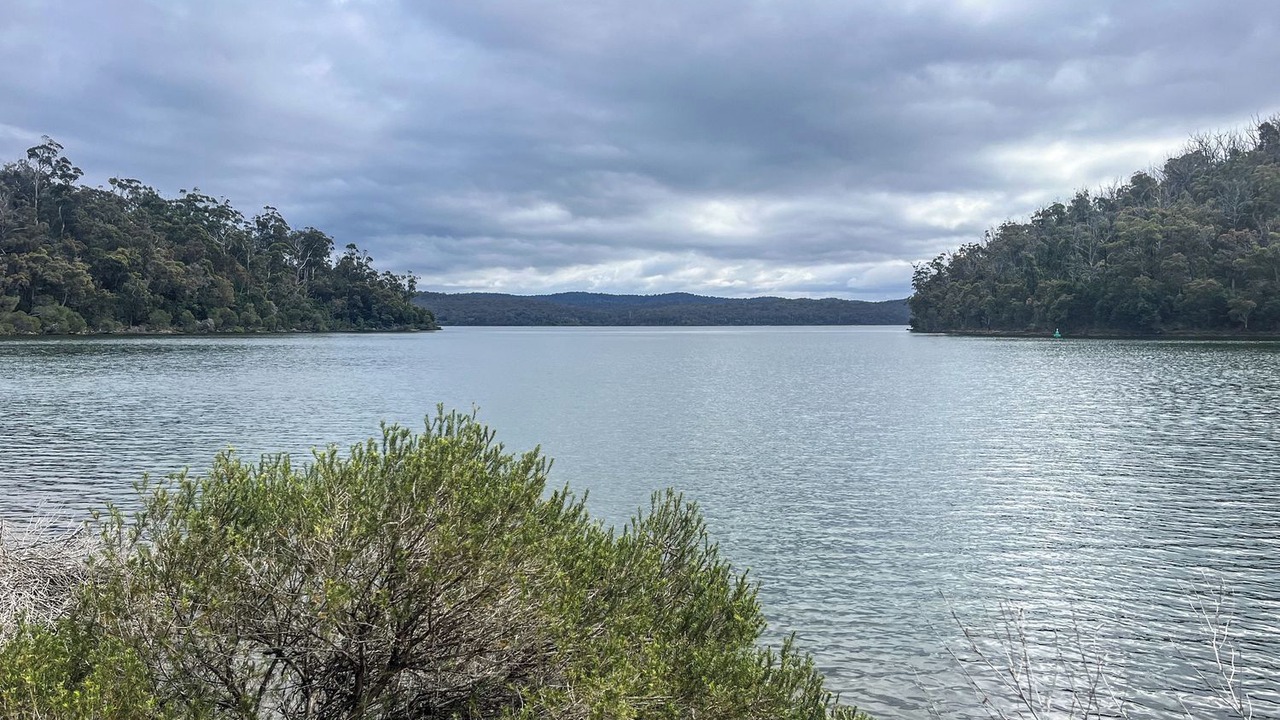 Photo of Others in Mallacoota