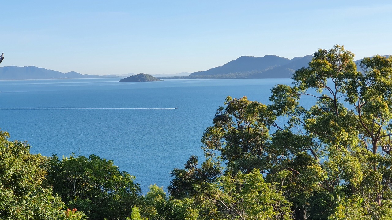 Photo of Others in Bedarra Island
