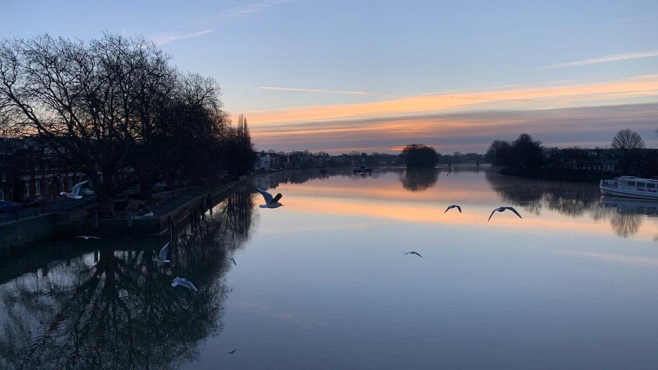 Photo of Others in London Borough of Hounslow