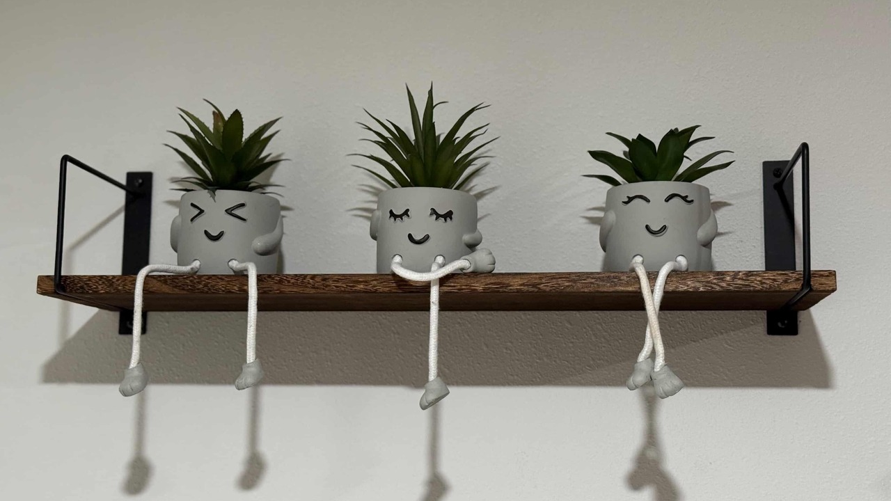 Photo of Others in Lutz