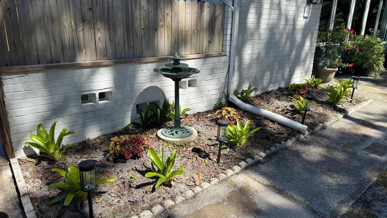 Photo of Outdoor in Lutz