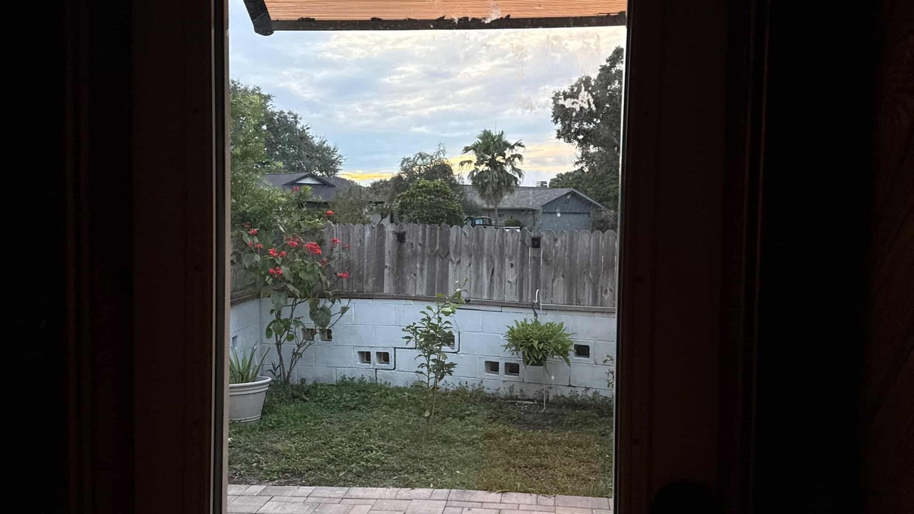 Photo of Others in Lutz