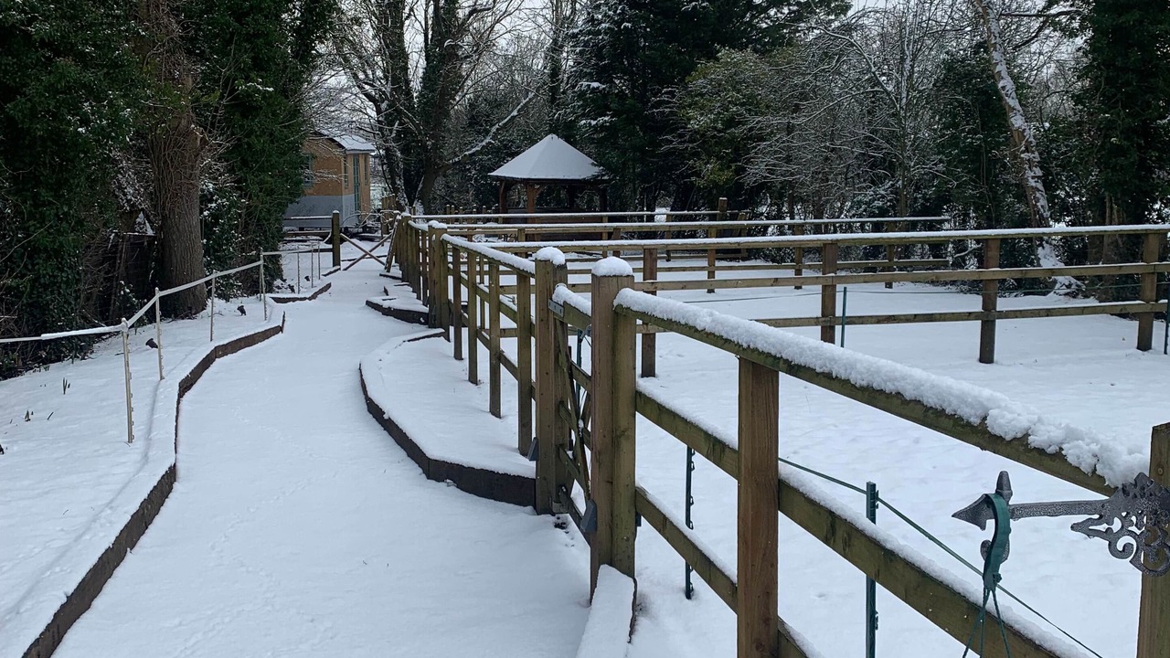 Photo of Others in Lowton