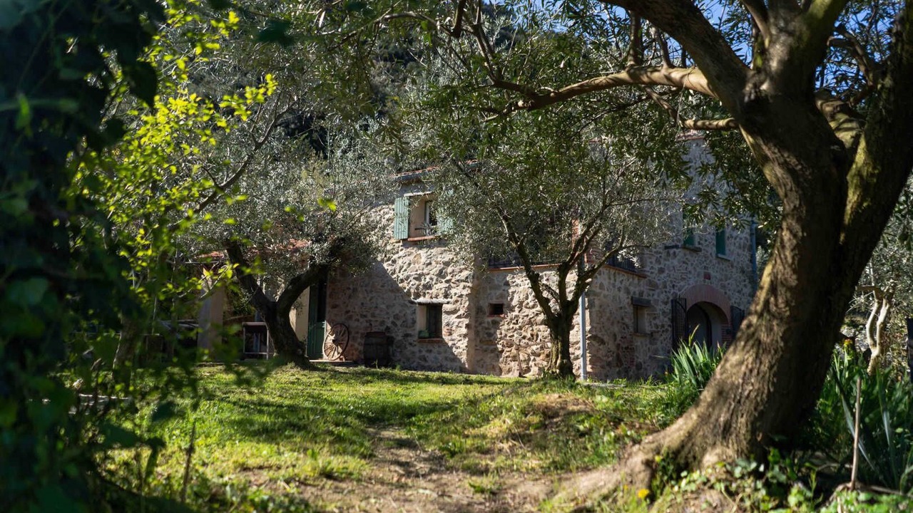 Photo of Outdoor in Ceret