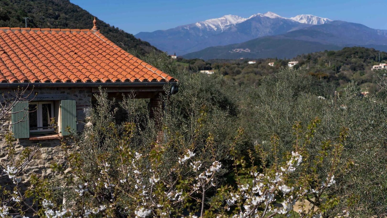 Photo of Outdoor in Ceret