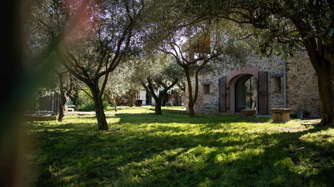 Photo of Outdoor in Ceret