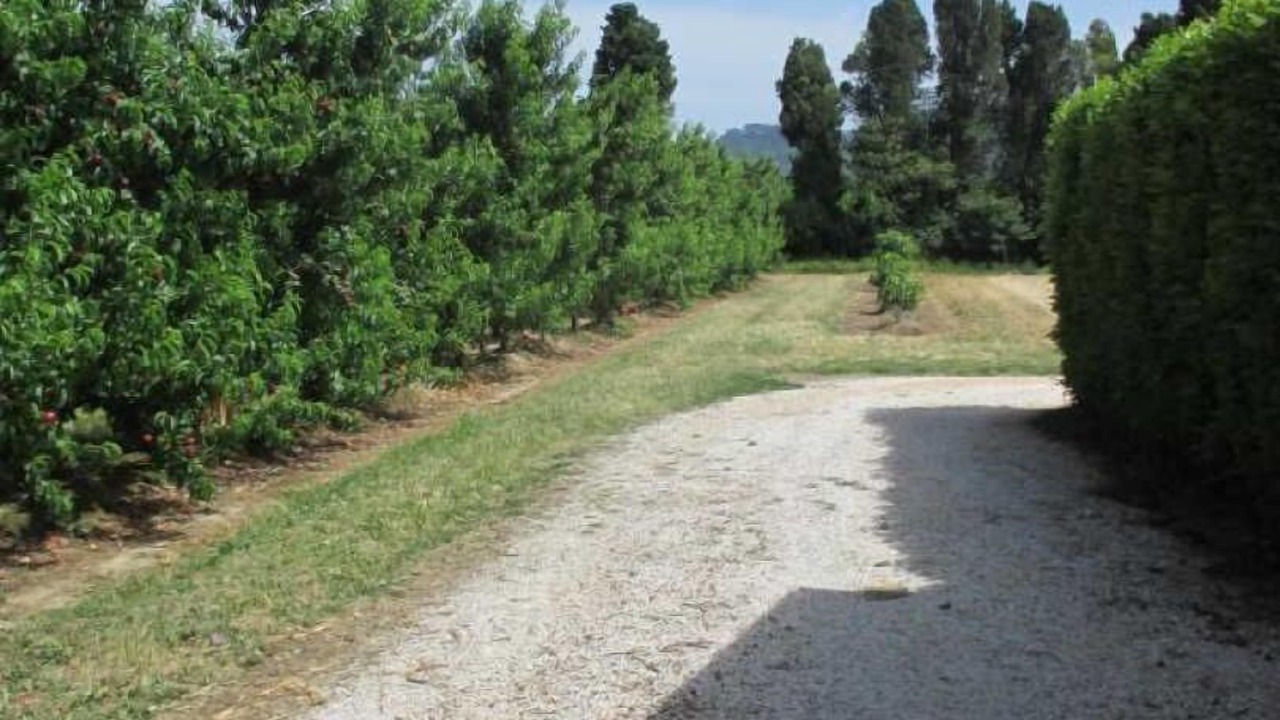 Photo of Others in Ille-sur-Tet