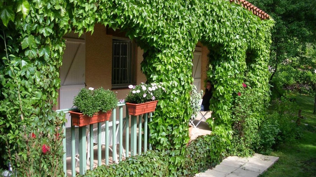 Photo of Outdoor in Casteil