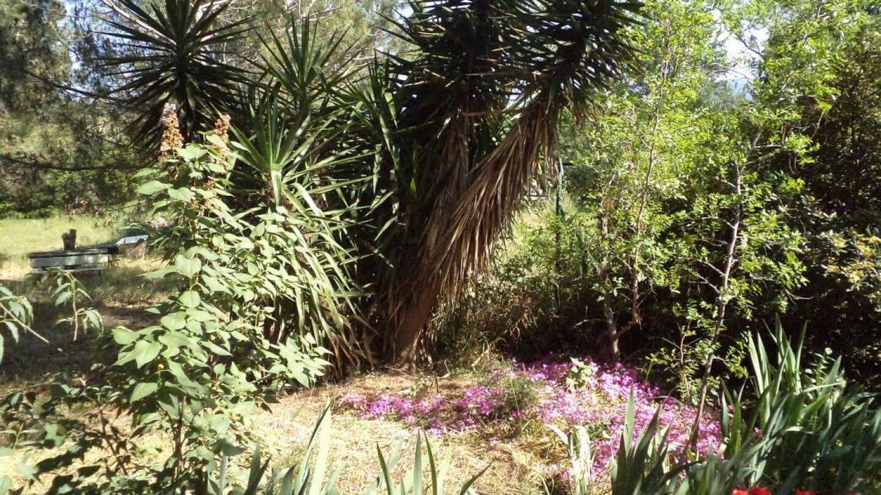 Photo of Outdoor in Ponteilla