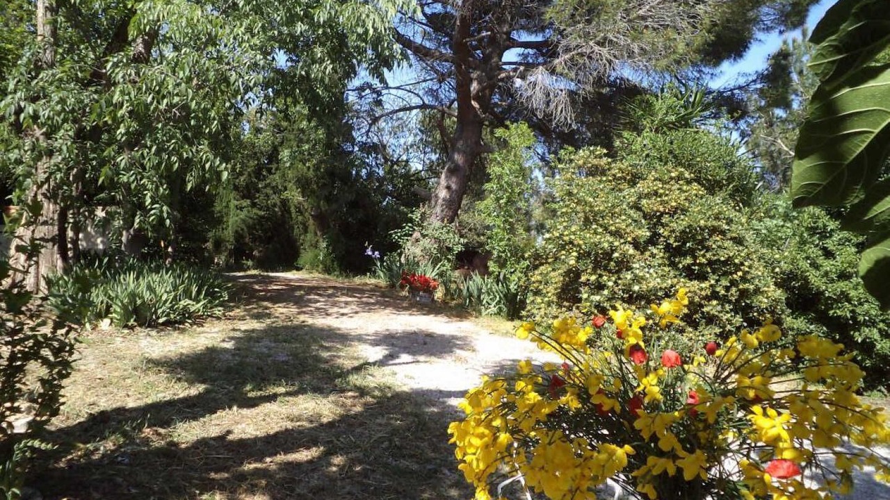 Photo of Outdoor in Ponteilla