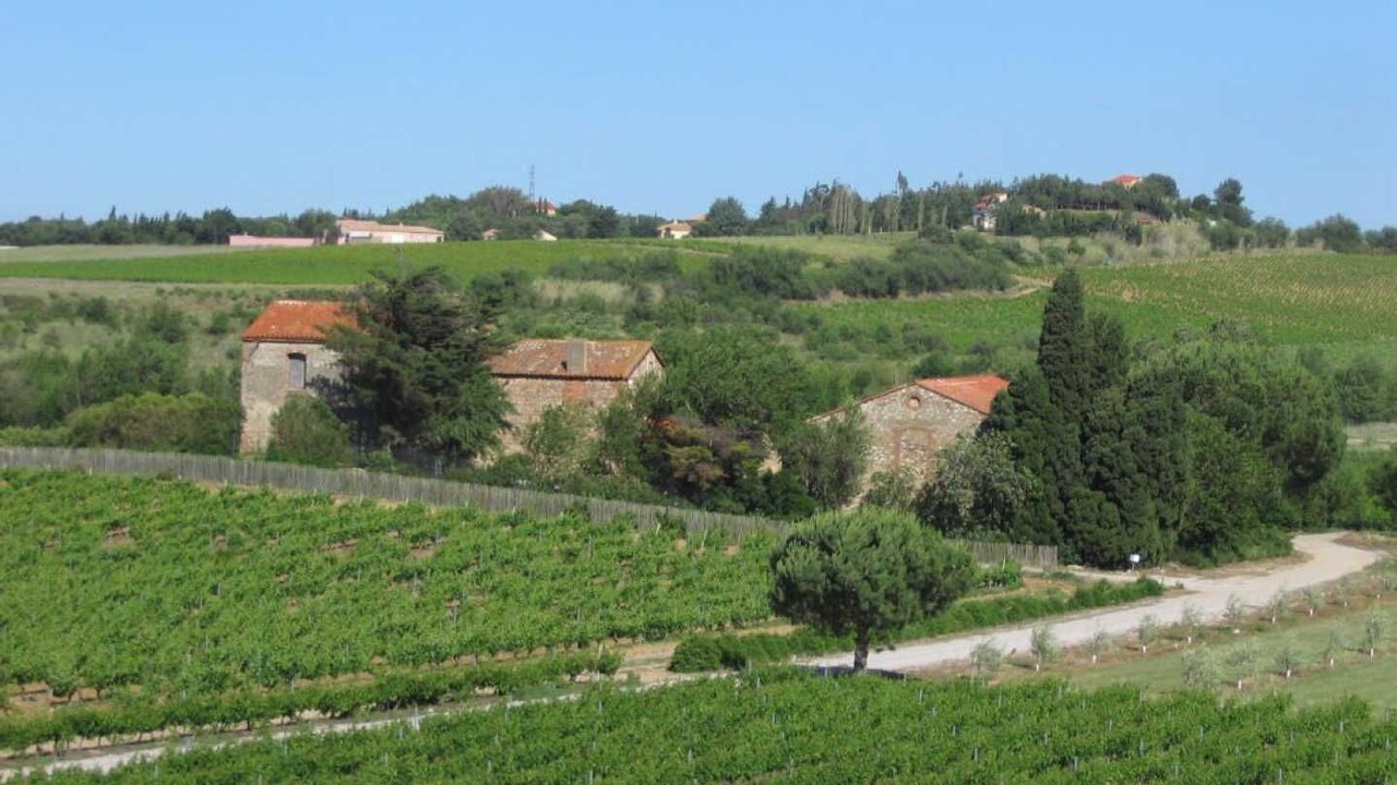 Photo of Others in Ponteilla