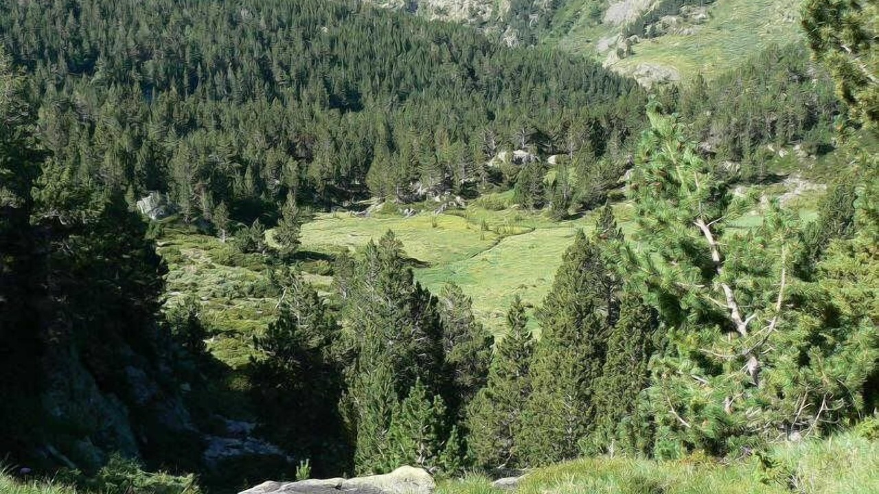 Photo of Others in Osseja