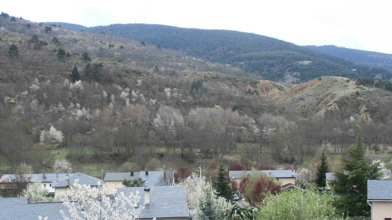 Photo of Others in Osseja