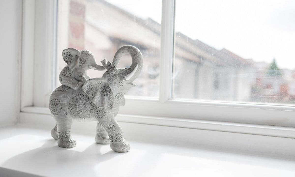 Photo of Others in Chelmsford