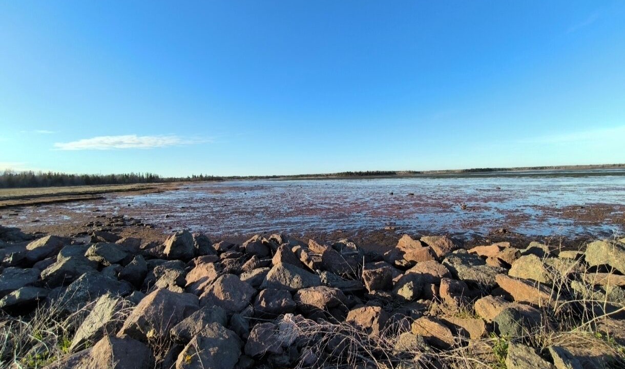 Photo of Others in Port Elgin