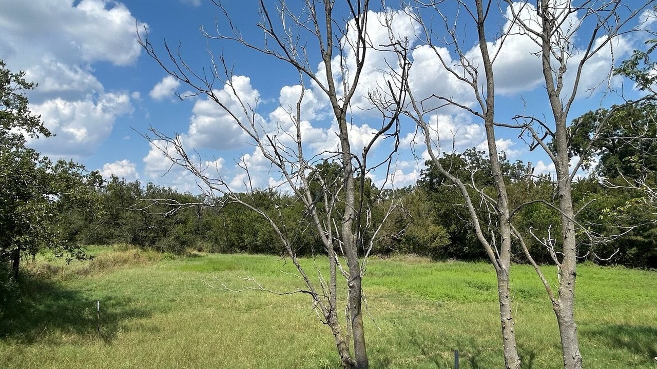 Photo of Others in Mason