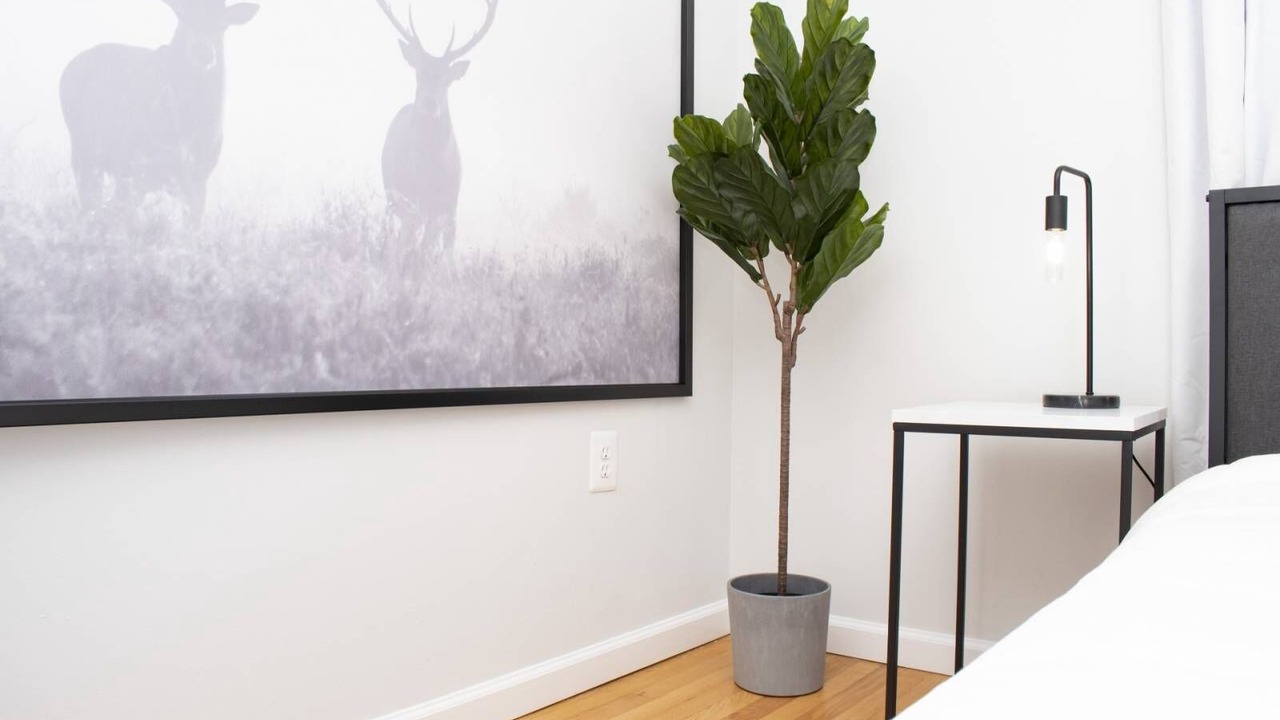 Photo of Bedroom in Epping Forest