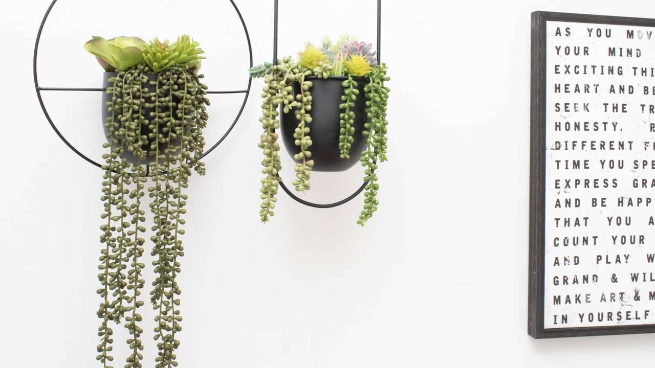 Photo of Others in Epping Forest