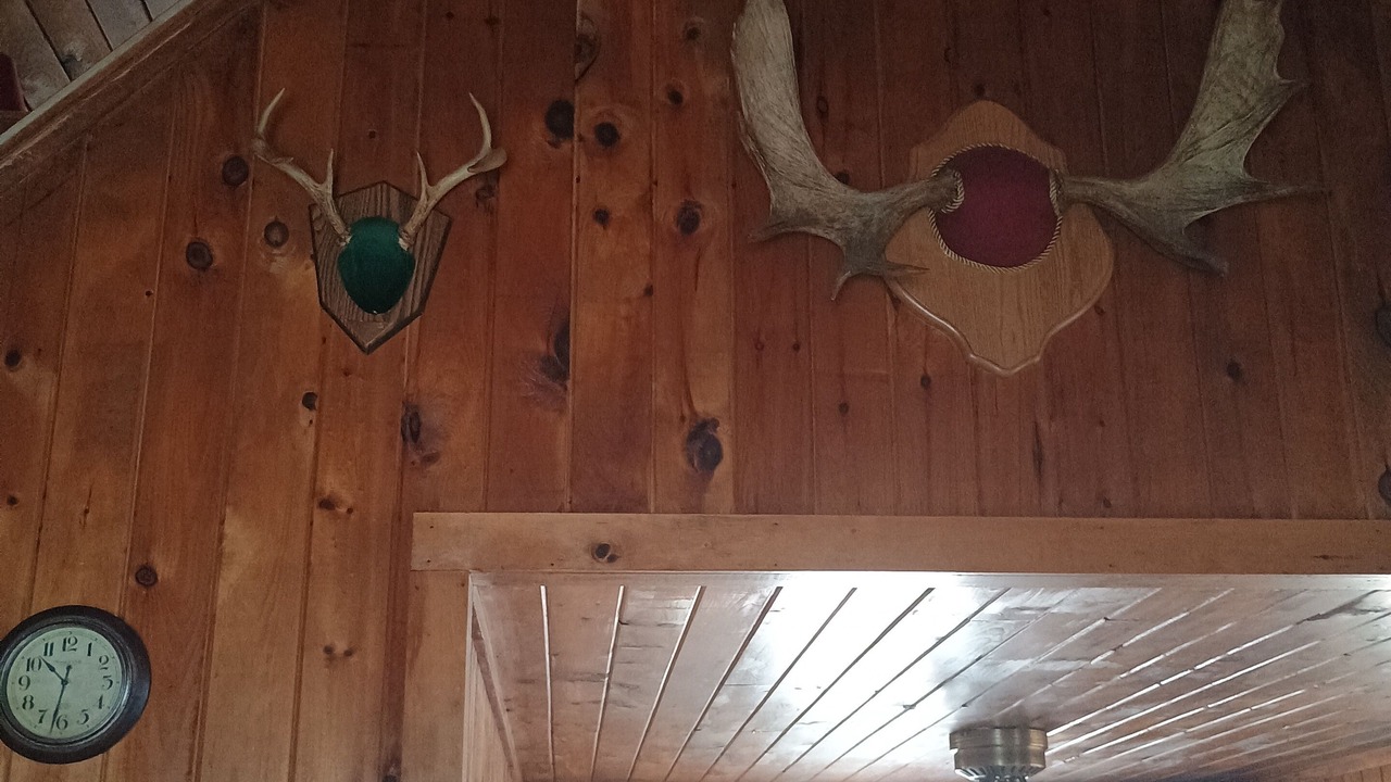 Photo of Others in Lincoln