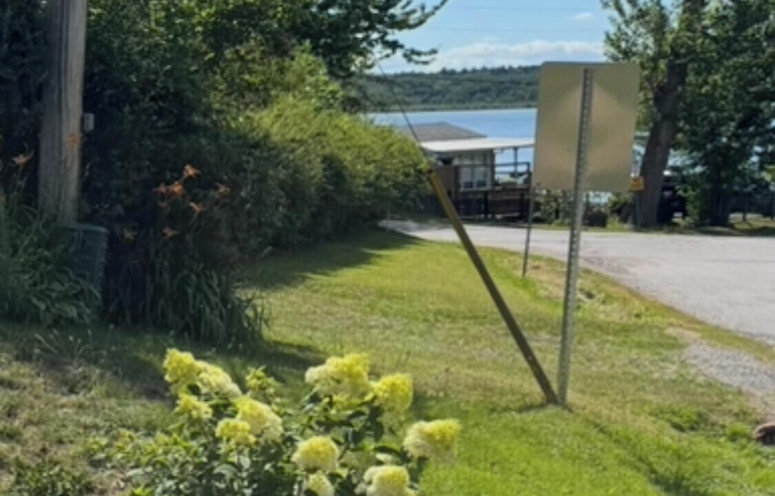 Photo of Outdoor in Scugog