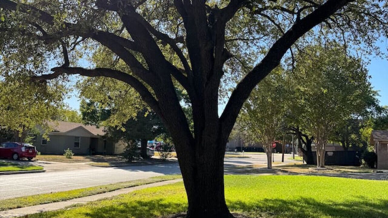 Photo of Others in Farmers Branch