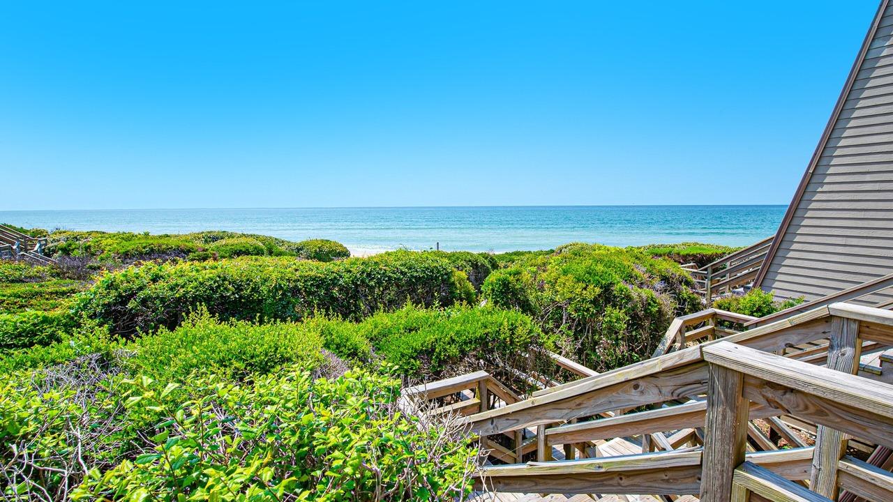 Photo of Others in Pine Knoll Shores