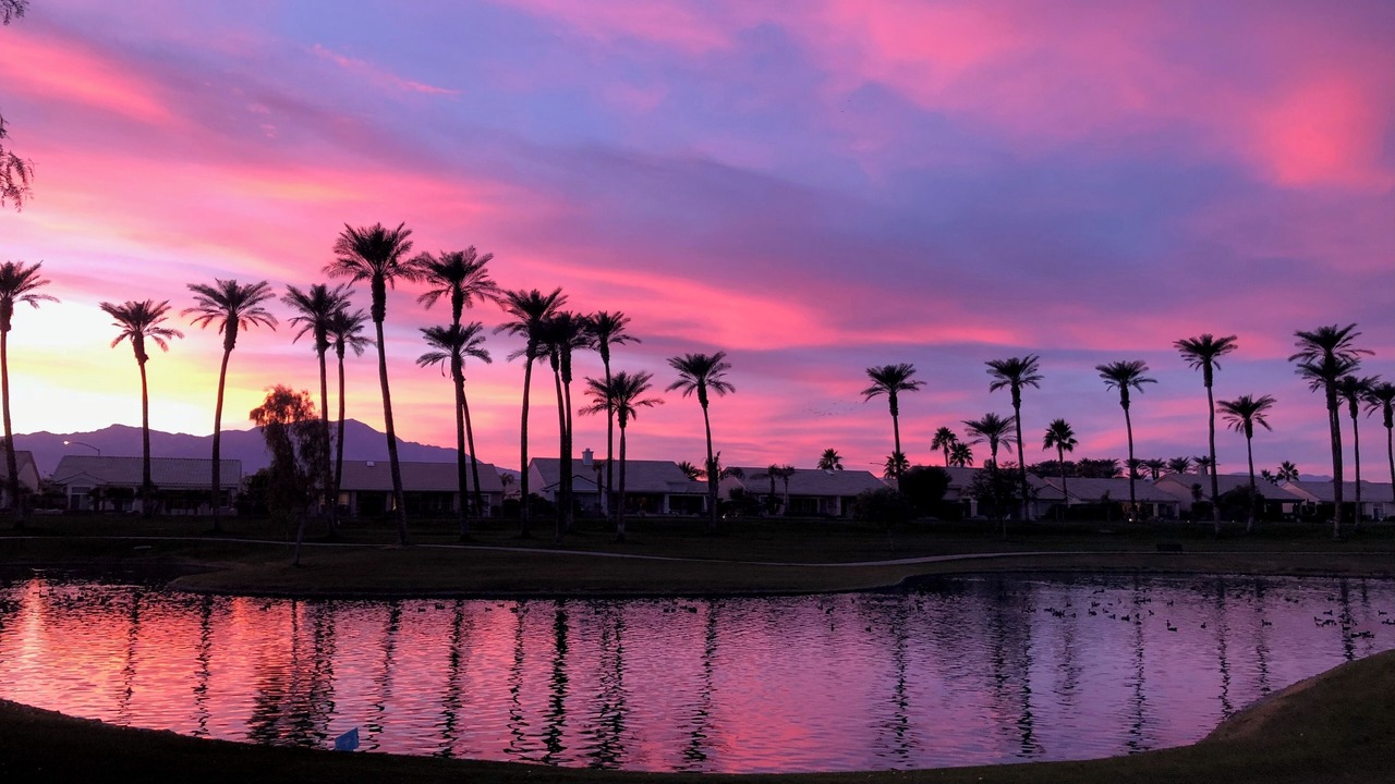 Photo of Others in Desert Palms