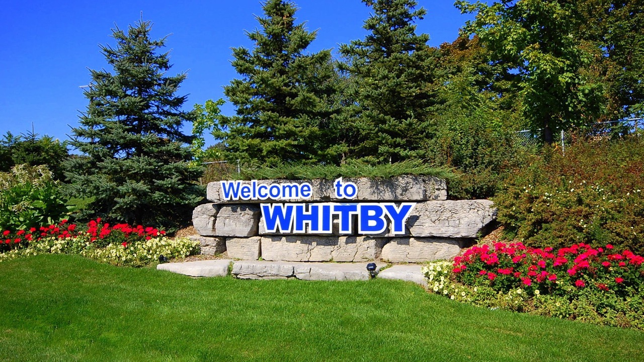 Photo of Outdoor in Whitby