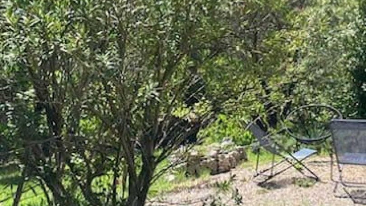 Photo of Outdoor in Clermont-l'Herault