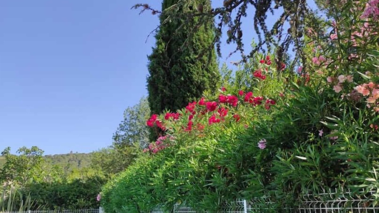 Photo of Outdoor in Clermont-l'Herault