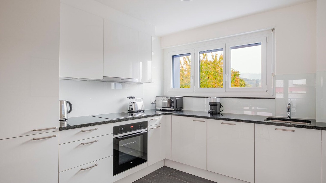 Photo of Kitchen in Dietikon District