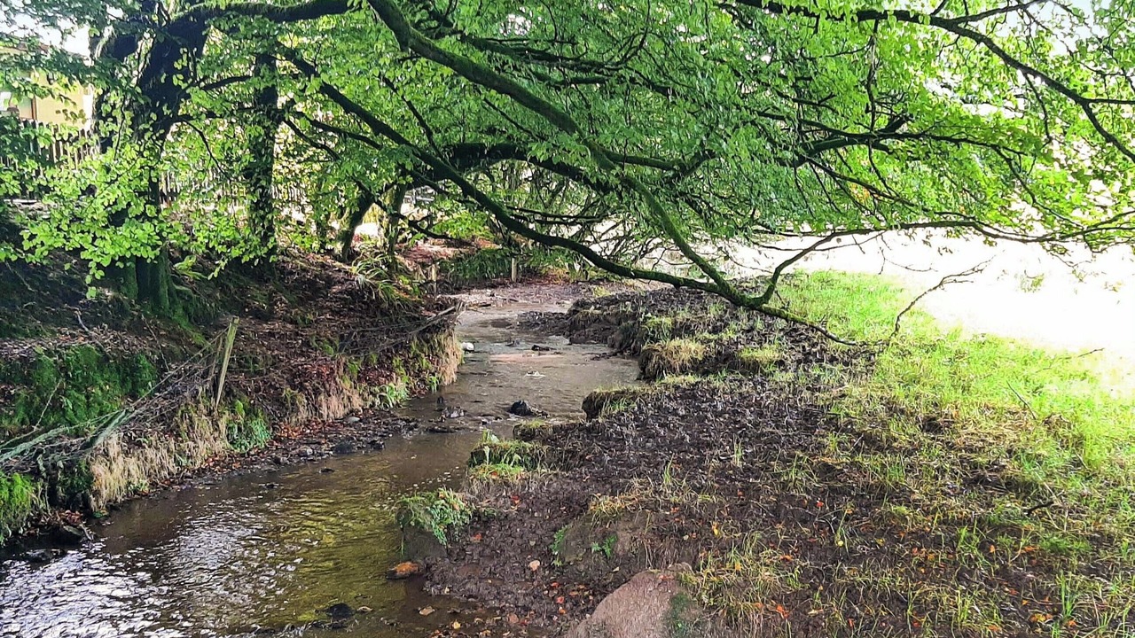 Photo of Others in Davidstow