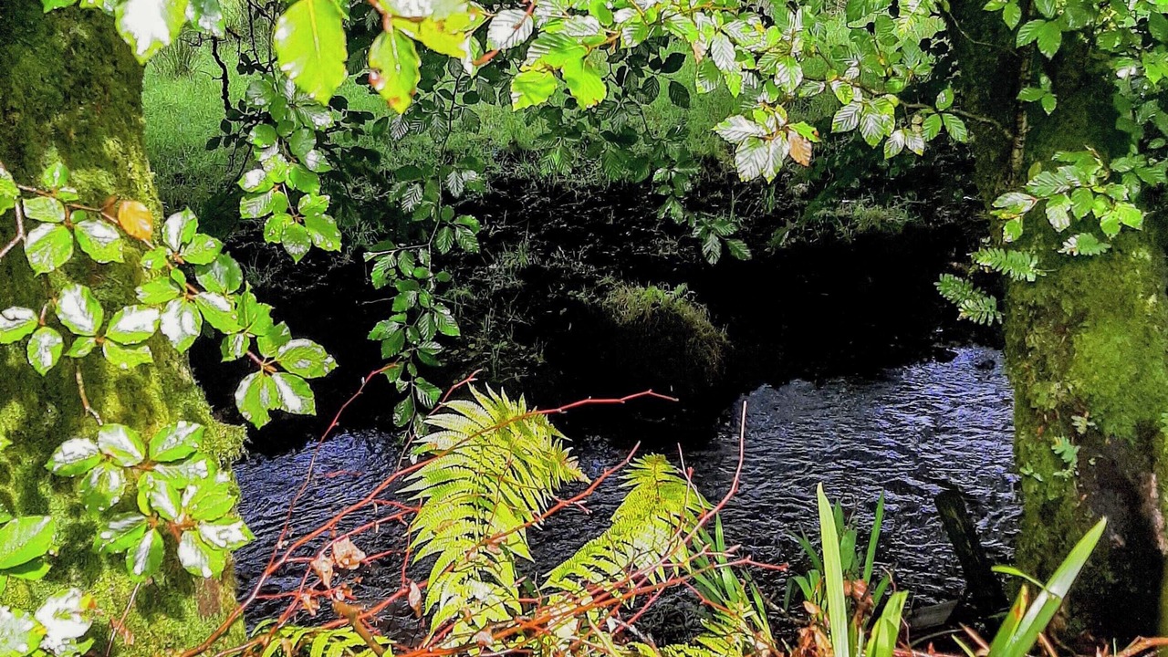 Photo of Others in Davidstow
