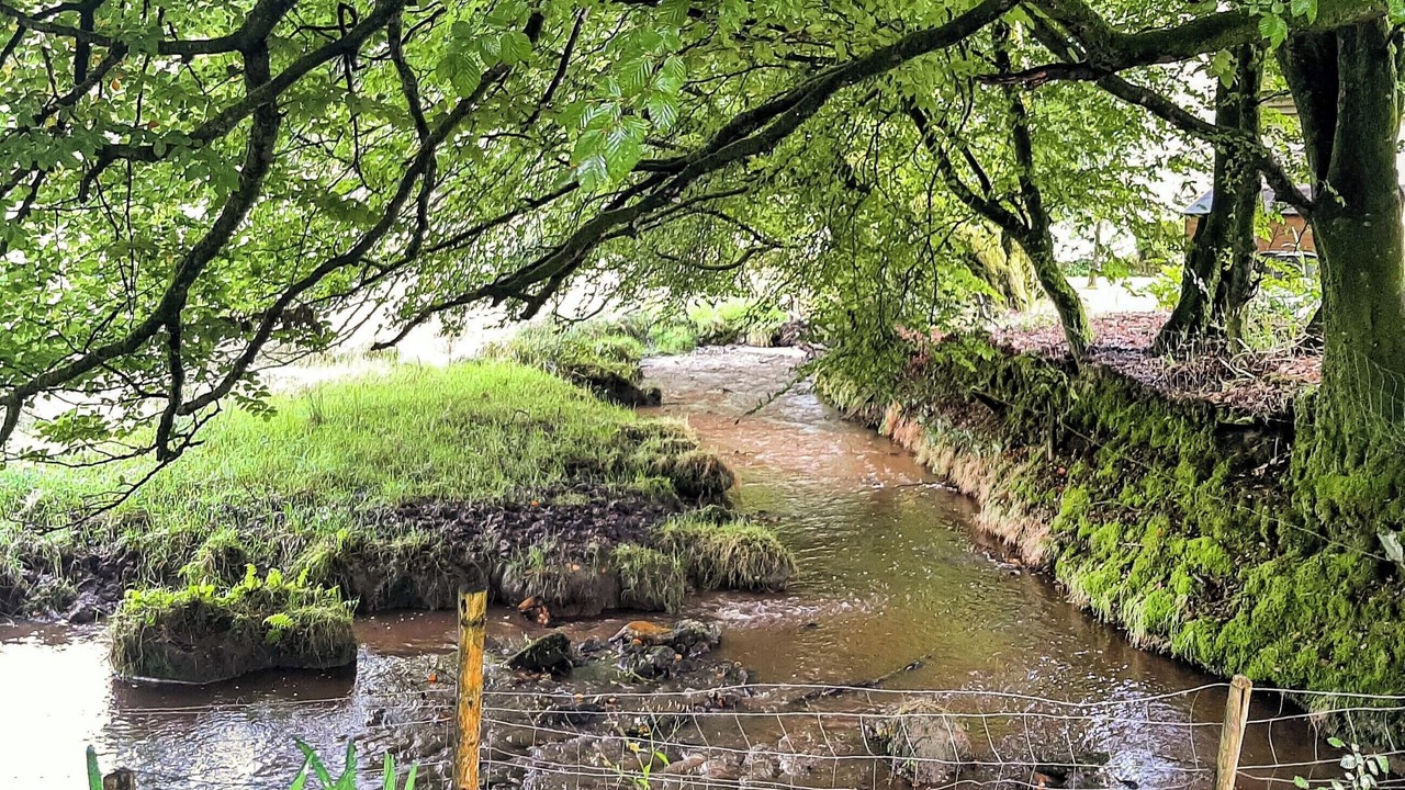 Photo of Others in Davidstow