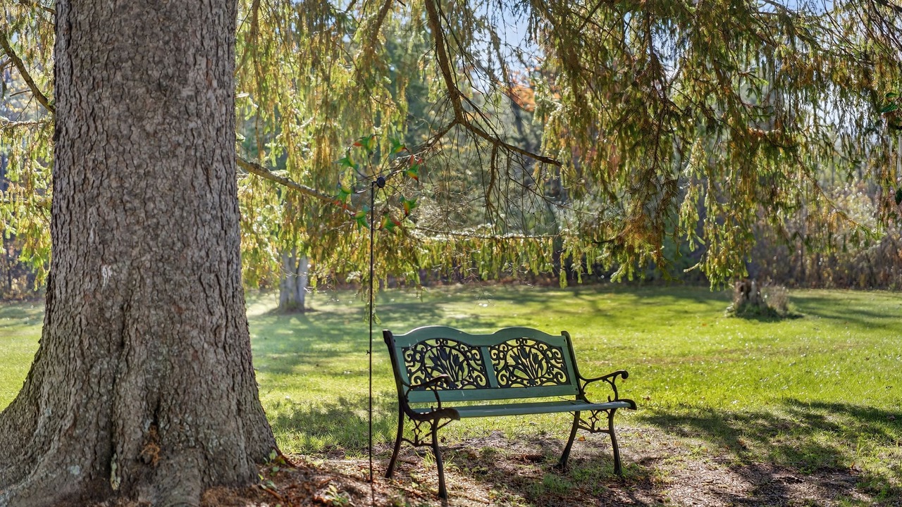 Photo of Outdoor in Oak Hill