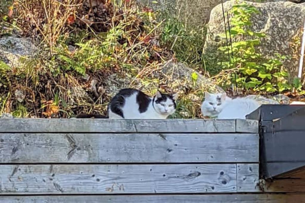 Photo of Outdoor in Halifax