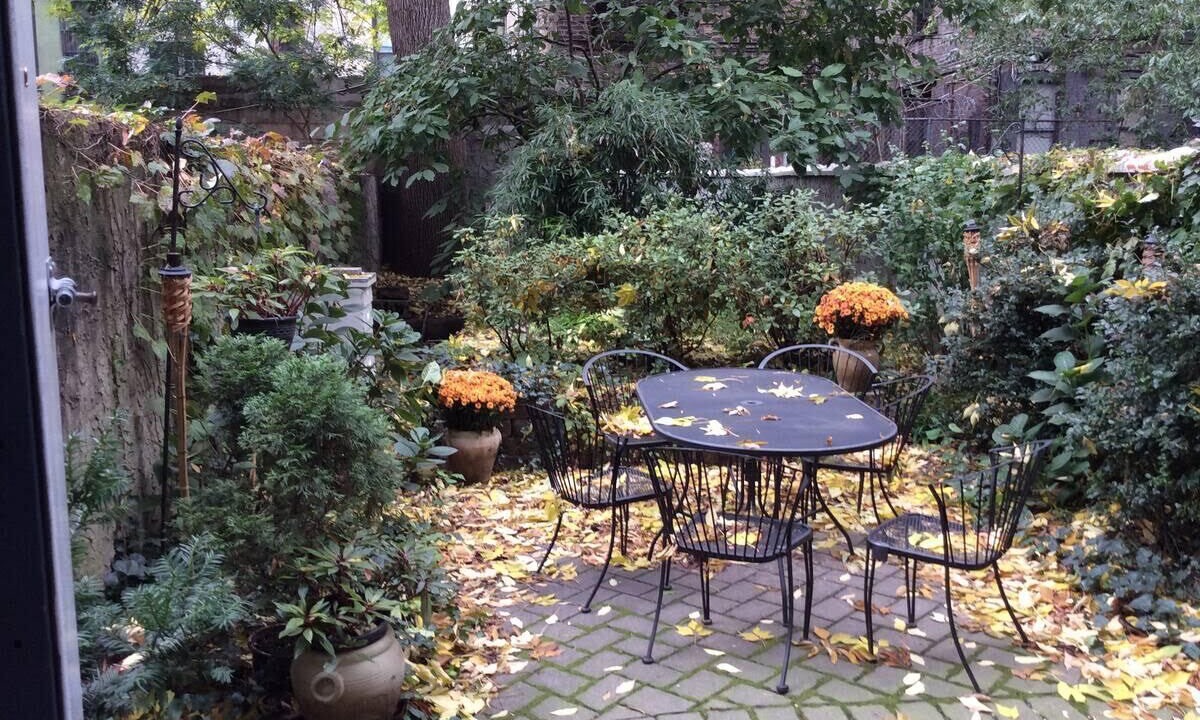 Photo of Outdoor in East Harlem