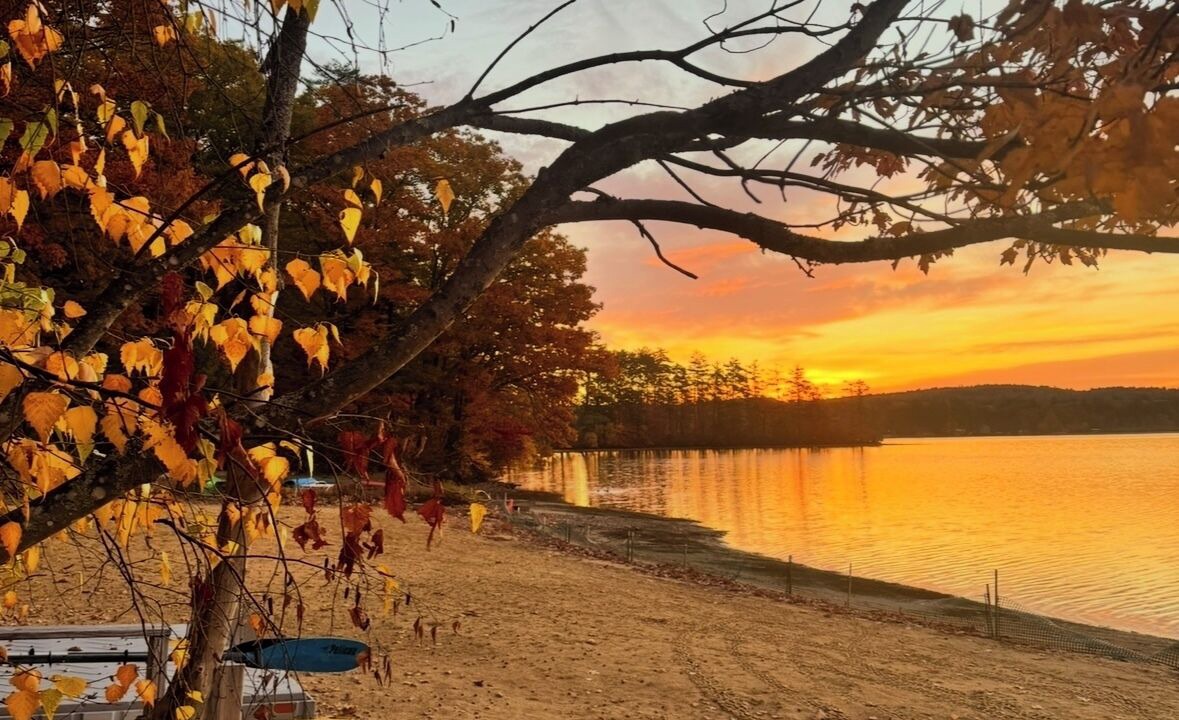 Photo of Others in Lochmere