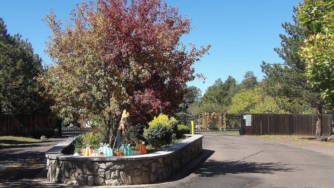 Photo of Outdoor in Pinetop-Lakeside